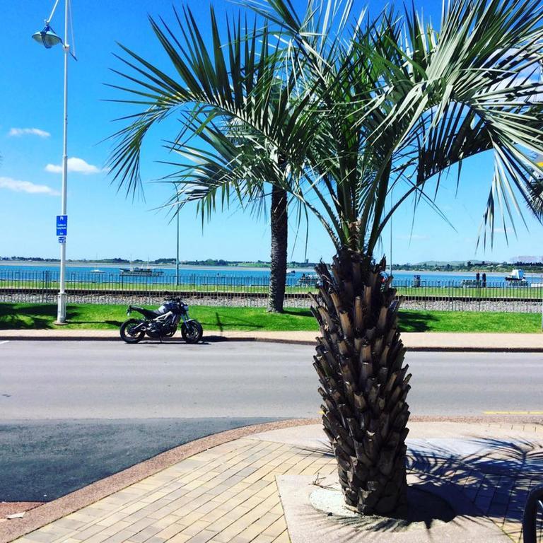 Harbourside City Backpackers Tauranga Exteriör bild